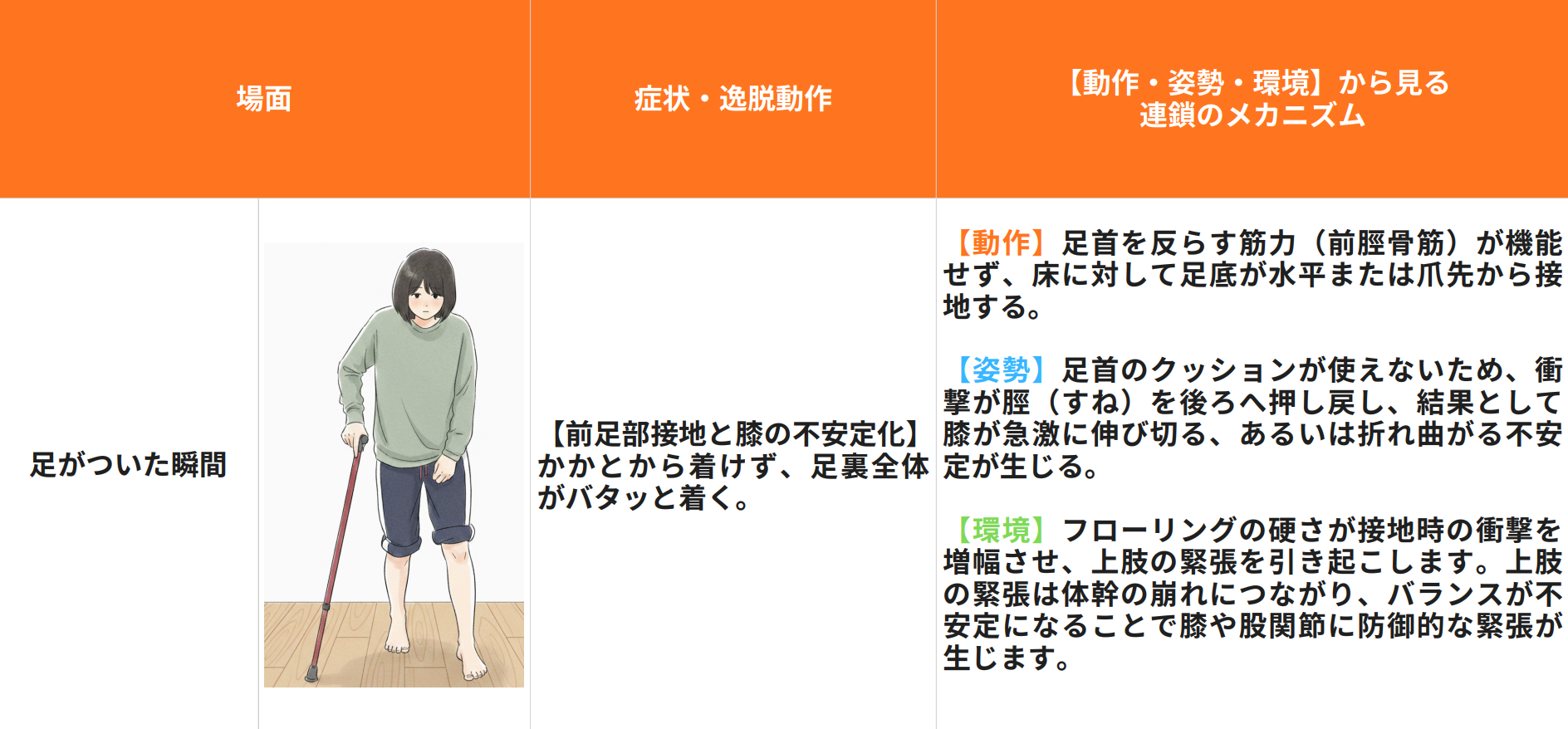 フローリング歩行における姿勢連鎖分析